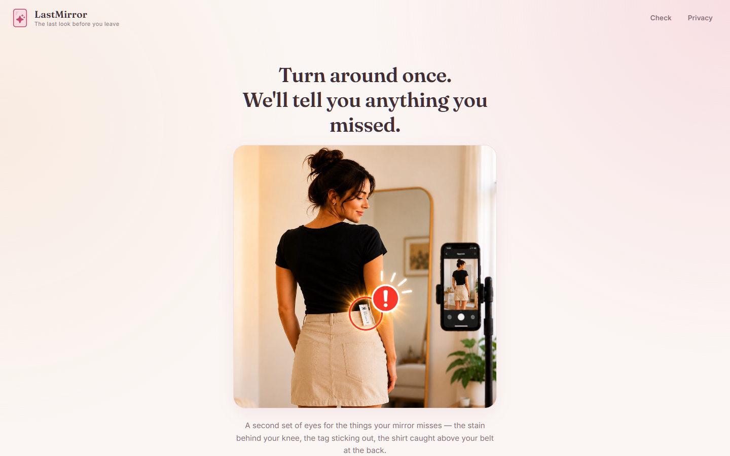 LastMirror website preview